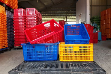 Tìm hiểu giá thùng nhựa PP nuôi cá Việt Nhật